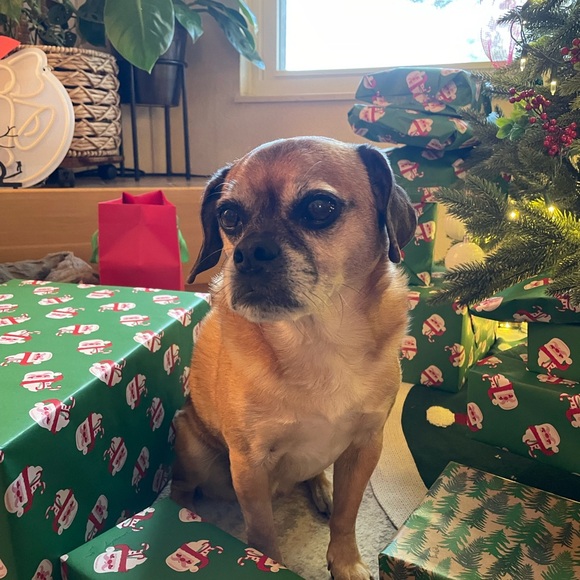 Meet your Posher, Sue - Picture 5 of 5